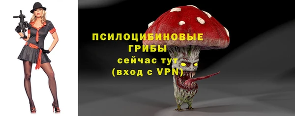 трава Иннополис