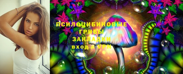 трава Иннополис