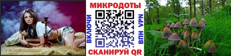Купить  Надым  Галлюциногенные грибы Psilocybe 